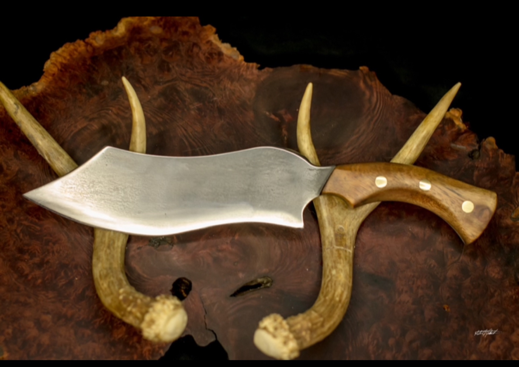 Broad-bladed custom knife displayed on burl wood with antlers