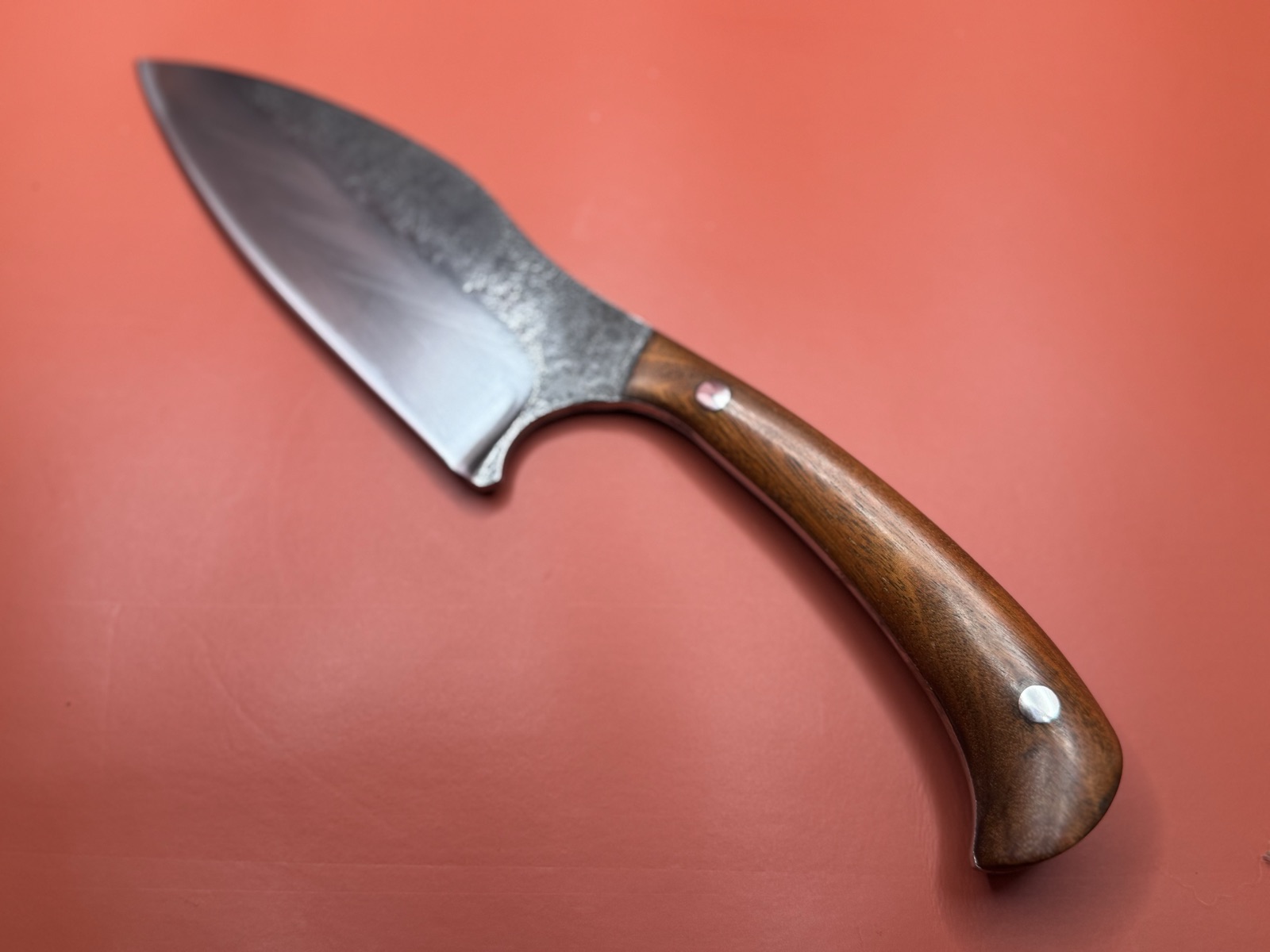 Curved Tulos hunting knife with a polished blade and wood handle on a red background