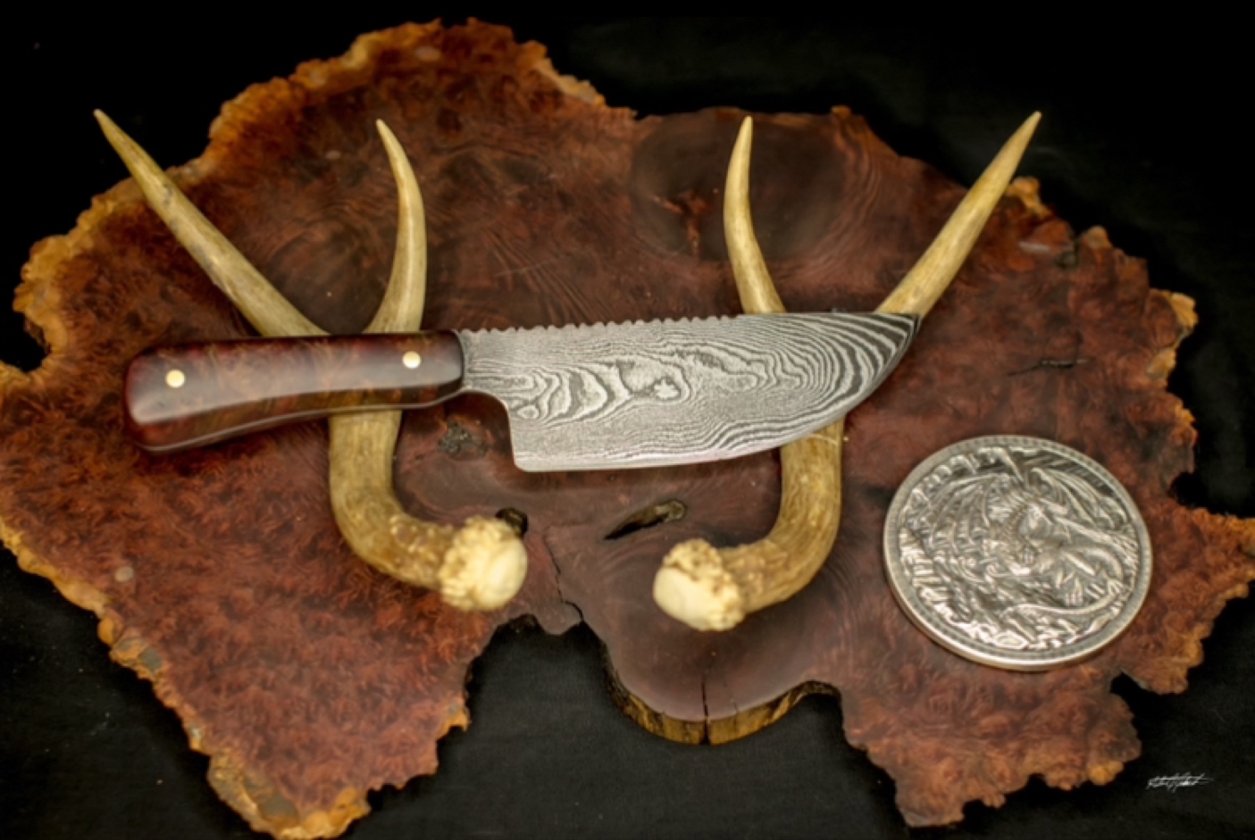 Compact pattern-welded Damascus knife with a wood handle displayed on burl wood and antlers