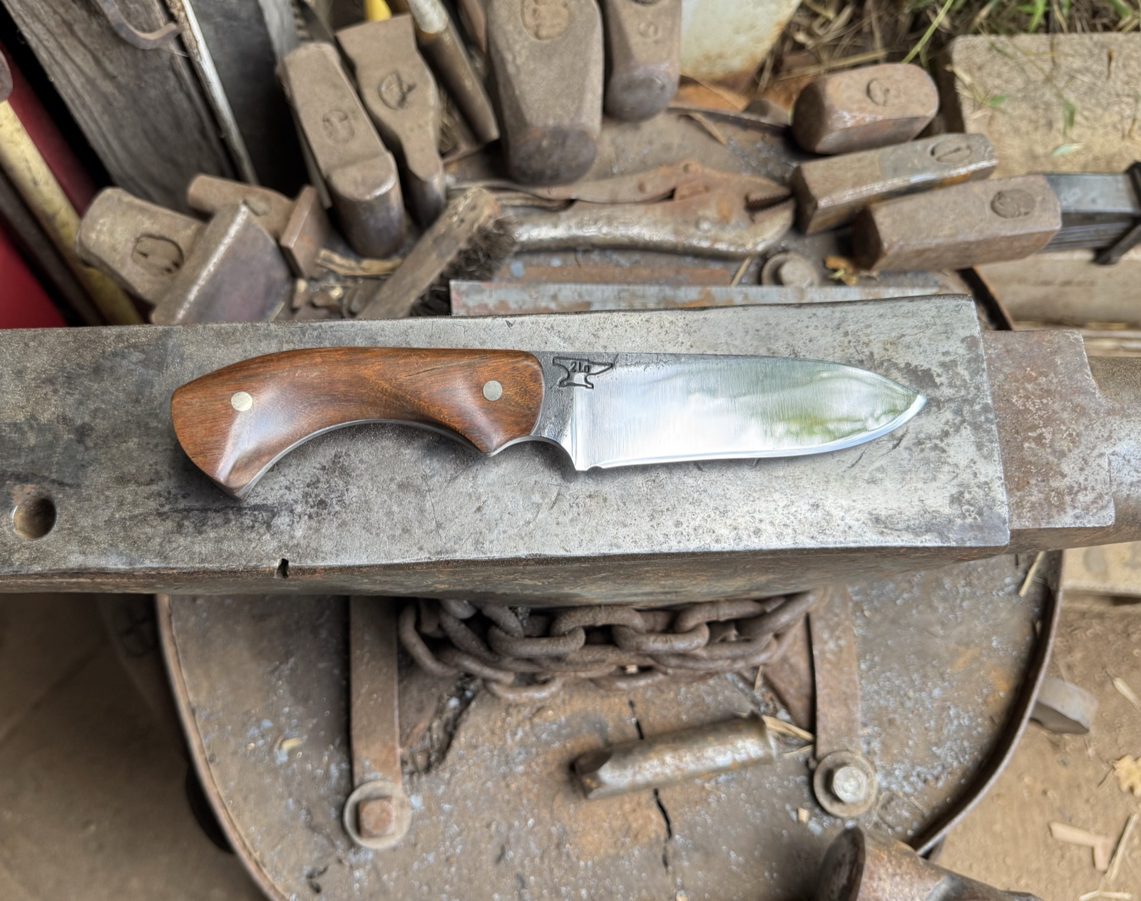 Polished Tulos knife with a curved wood handle resting on an anvil